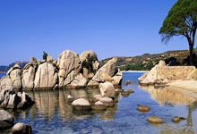 世界杯德国对阵日本为何爆冷?这场比赛藏着哪些足球密码?